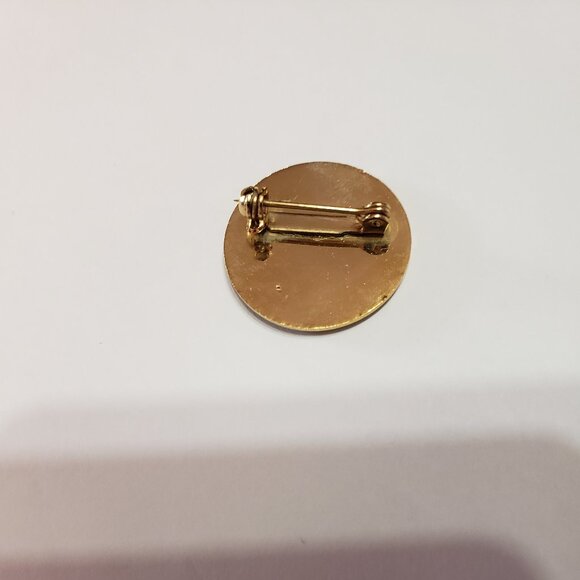 The Corporation Of the Village Of Fruitvale BC Enamel Brooch Lapel Pin - Picture 2 of 2